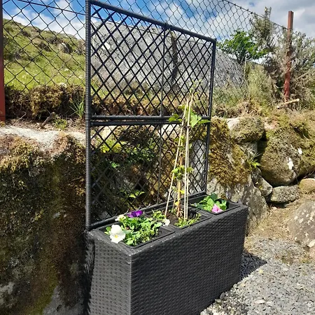 Corriebrack * Hollywood (Wicklow)