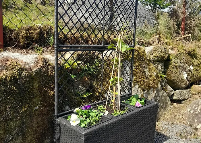 Corriebrack * Hollywood (Wicklow)